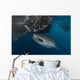 Whale Shark Sucking Fishing Horizontal Wall Decal