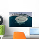 Whale Shark with Mouth at Surface Wall Decal