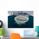 Whale Shark with Mouth at Surface Wall Decal