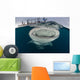 Whale Shark with Mouth at Surface Wall Decal