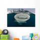 Whale Shark with Mouth at Surface Wall Decal