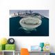 Whale Shark with Mouth at Surface Wall Decal