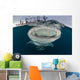 Whale Shark with Mouth at Surface Wall Decal