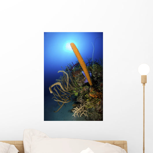 Colorful Reef Scene Light Wall Decal