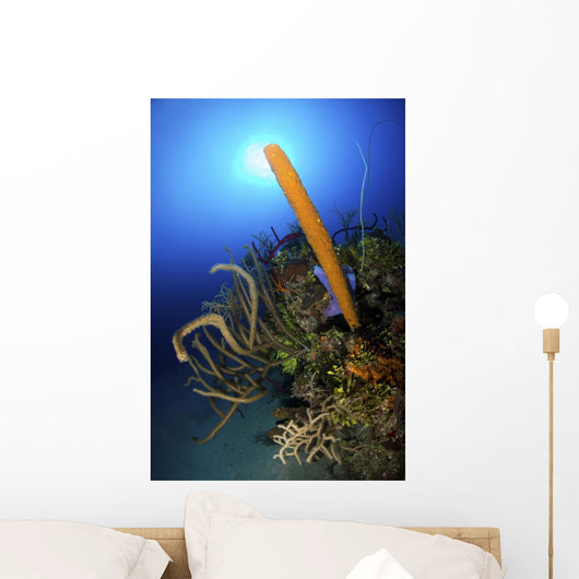 Colorful Reef Scene Light Wall Decal