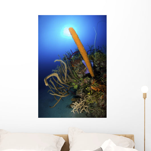 Colorful Reef Scene Light Wall Decal