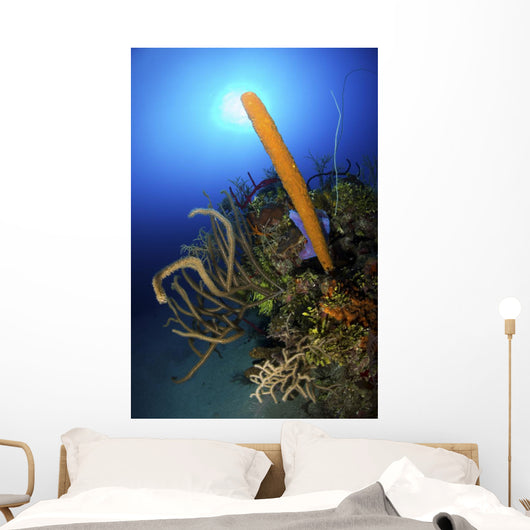 Colorful Reef Scene Light Wall Decal