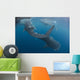 Four Whale Sharks Swimming Wall Decal