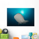 Large Whale Shark Swimming Wall Decal