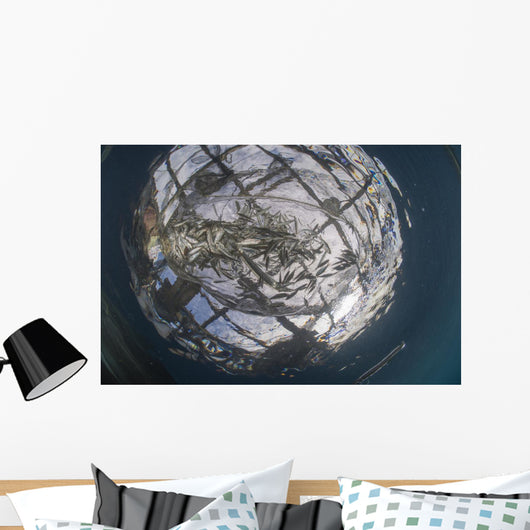 Fish Caught Fishing Net Wall Decal