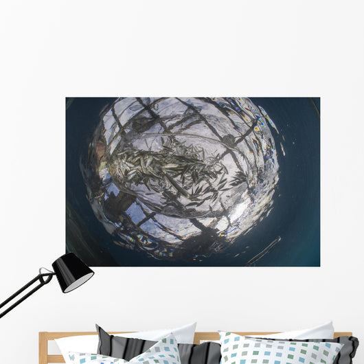 Fish Caught Fishing Net Wall Decal