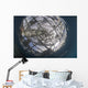 Fish Caught Fishing Net Wall Decal