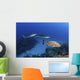 Several Caribbean Reef Sharks Wall Decal