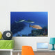 Several Caribbean Reef Sharks Wall Decal