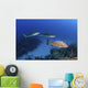 Several Caribbean Reef Sharks Wall Decal
