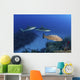 Several Caribbean Reef Sharks Wall Decal