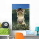 American Saltwater Crocodile Mangrove Mouth Wall Decal