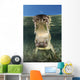 American Saltwater Crocodile Mangrove Mouth Wall Decal