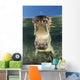 American Saltwater Crocodile Mangrove Mouth Wall Decal