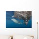 Whale Shark Swimming with Fish Wall Decal