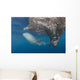 Whale Shark Swimming with Fish Wall Decal