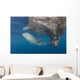 Whale Shark Swimming with Fish Wall Decal