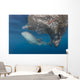 Whale Shark Swimming with Fish Wall Decal