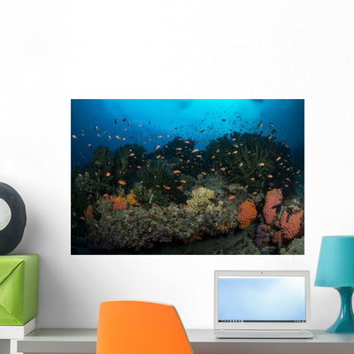 Colorful Reef Scene Orange Wall Decal shown on a wall
