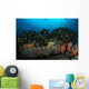 Colorful Reef Scene Orange Wall Decal