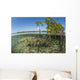 American Saltwater Crocodile Swimming Wall Decal