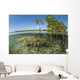 American Saltwater Crocodile Swimming Wall Decal