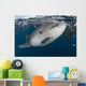 Whale Shark Swimming near Surface Wall Decal
