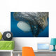 Whale Shark Swimming around Net Wall Decal