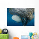 Whale Shark Swimming around Net Wall Decal