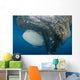 Whale Shark Swimming around Net Wall Decal