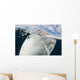 Whale Shark Breaching Surface Right Side Wall Decal