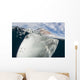 Whale Shark Breaching Surface Right Side Wall Decal