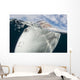 Whale Shark Breaching Surface Right Side Wall Decal