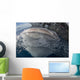 Whale Shark Breaching Surface Above Wall Decal