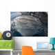 Whale Shark Breaching Surface Above Wall Decal
