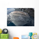 Whale Shark Breaching Surface Above Wall Decal