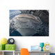 Whale Shark Breaching Surface Above Wall Decal