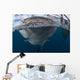 Whale Shark Breaching Surface Mouth Wall Decal