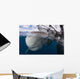 Whale Shark Breaching Surface Wall Decal