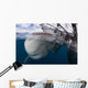 Whale Shark Breaching Surface Wall Decal