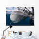 Whale Shark Breaching Surface Wall Decal