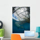 Whale Shark Swimming Up near Boat Wall Decal