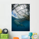 Whale Shark Swimming Up near Boat Wall Decal