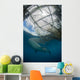 Whale Shark Swimming Up near Boat Wall Decal