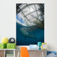 Whale Shark Swimming Up near Boat Wall Decal